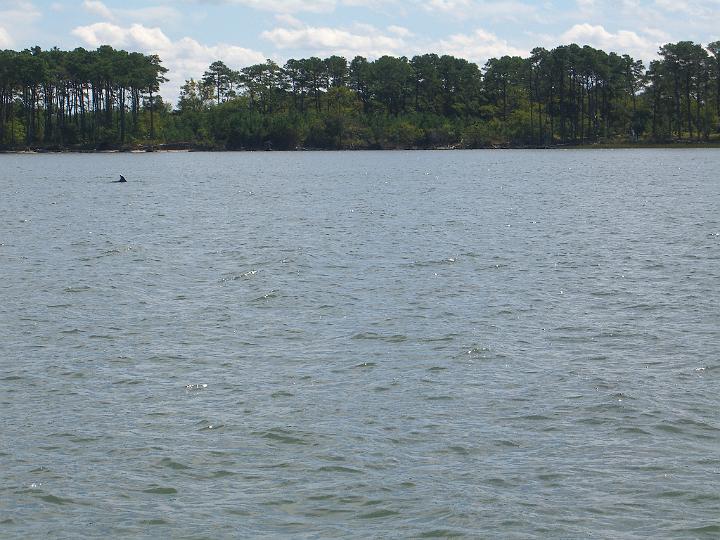 Chincoteague September 2007 004.JPG